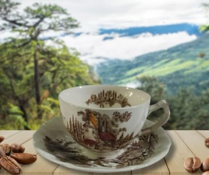 Taza con plato loza inglesa original