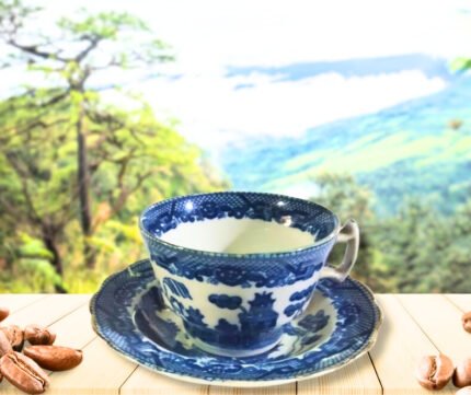 Taza con plato de loza inglesa azul