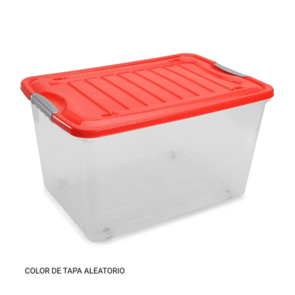 Caja suprema #50 REY