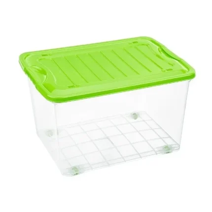 Caja suprema #40 REY